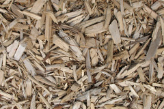biomass boilers Asserby